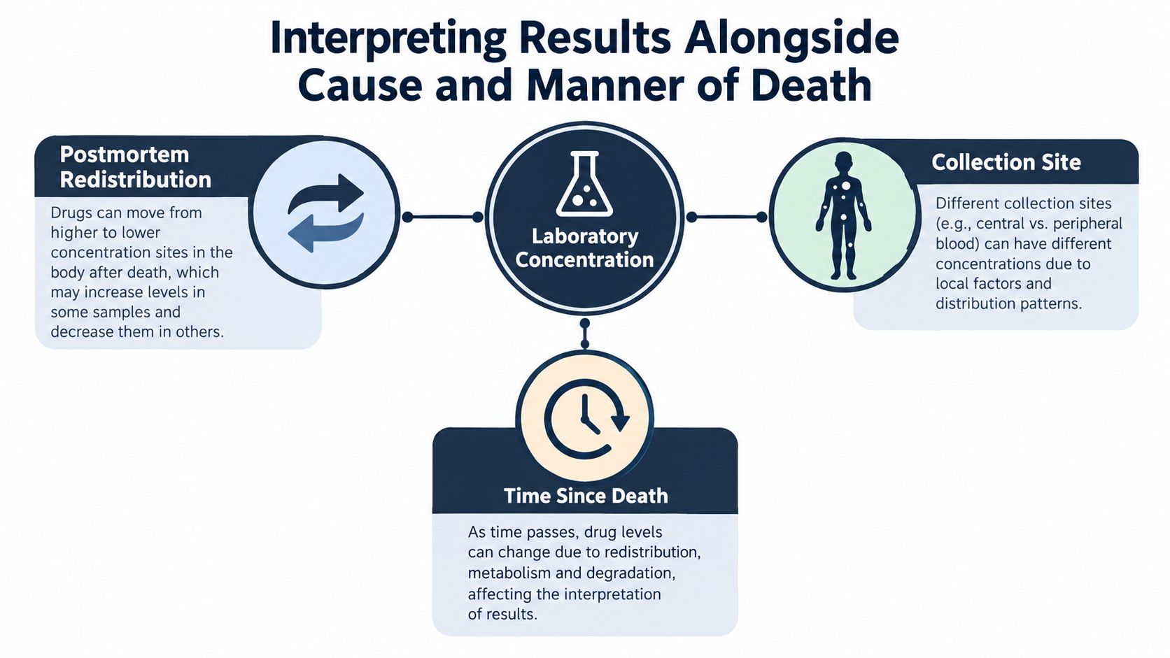 An infographic showing factors affecting toxicology laboratory concentration results including redistribution, collection site, and time since death.
