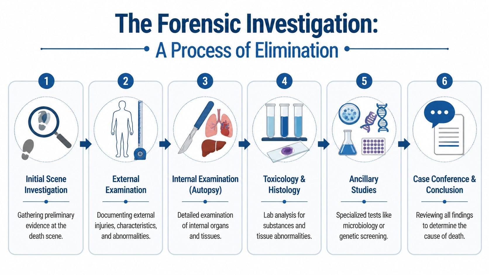 A six-step infographic detailing the forensic investigation process used to determine an unknown cause of death.