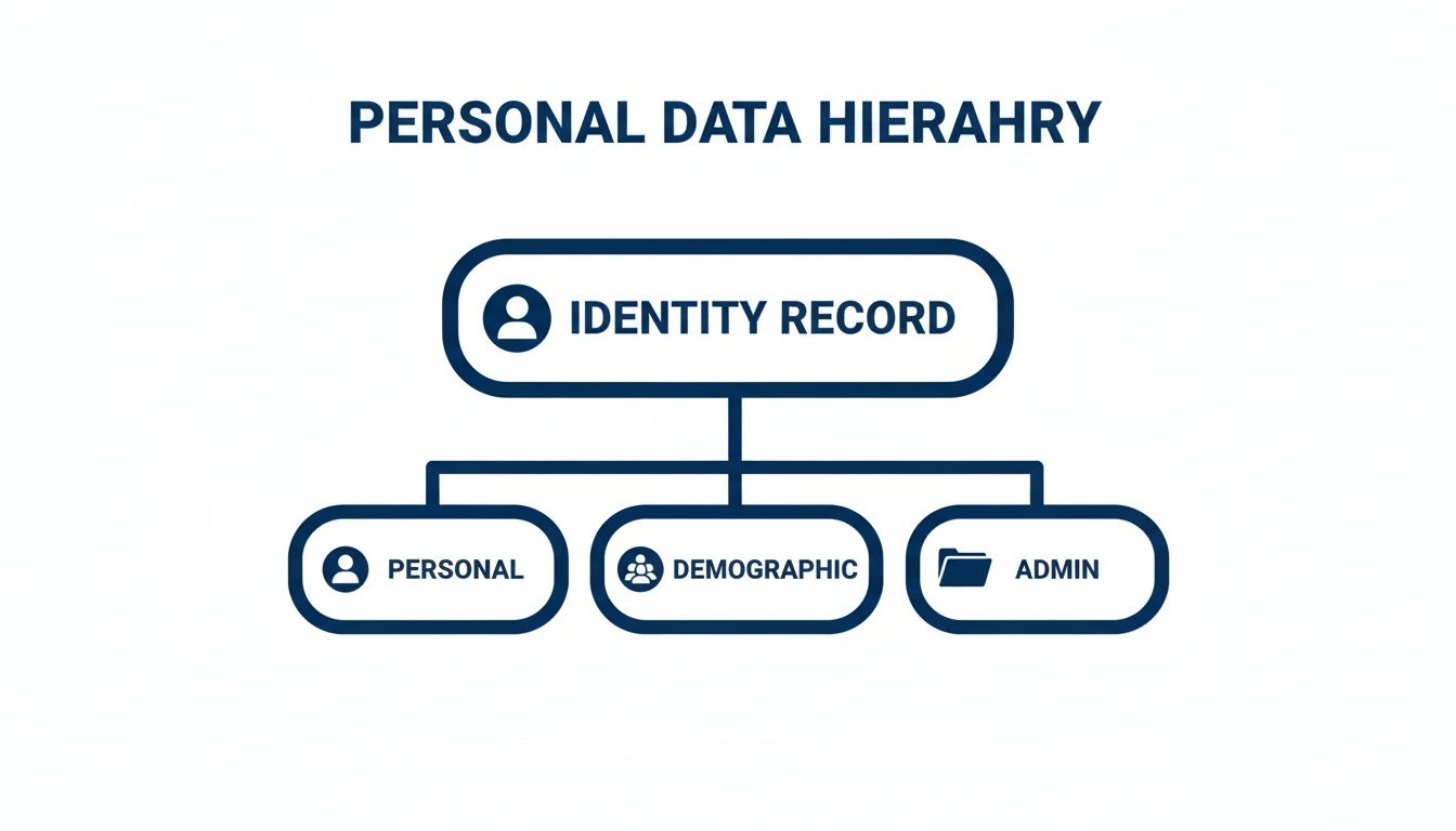 Diagram illustrating personal data hierarchy with Identity Record branching to Personal, Demographic, and Admin.