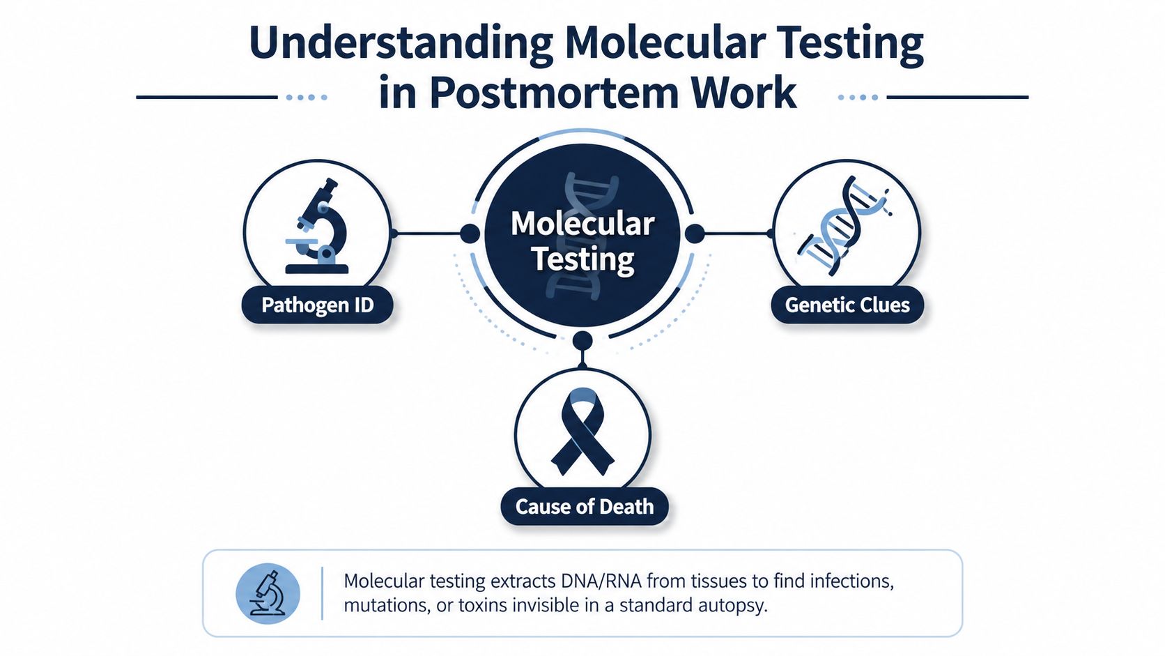 An infographic explaining that molecular testing in postmortem work identifies pathogens, genetic mutations, and causes of death.