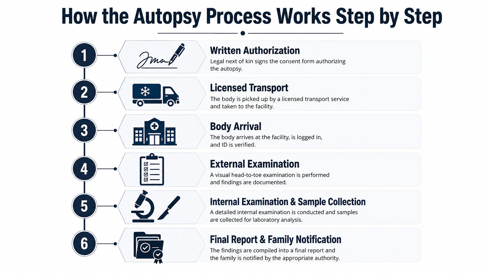 A step-by-step infographic illustrating the professional autopsy process from initial written authorization to final family notification.