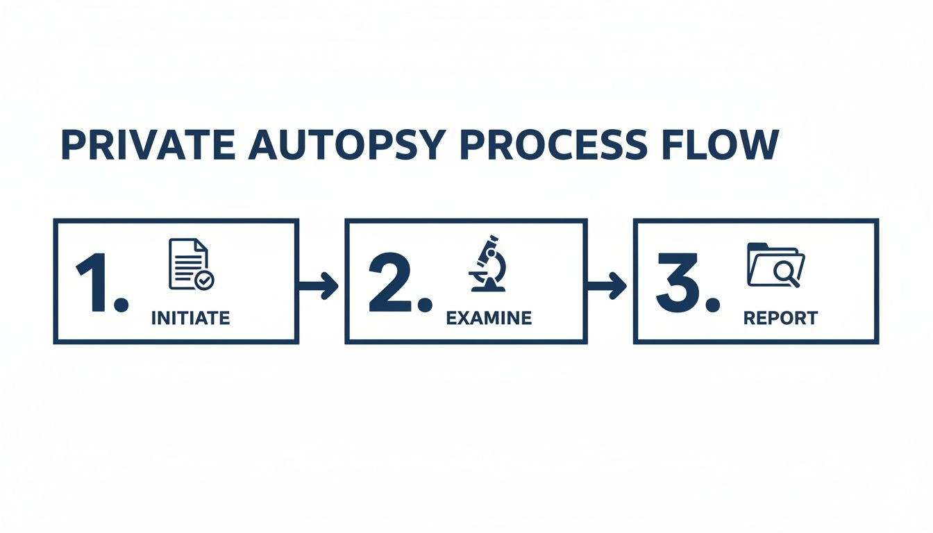 A flowchart visually describes the private autopsy process, detailing steps: Initiate, Examine, and Report.