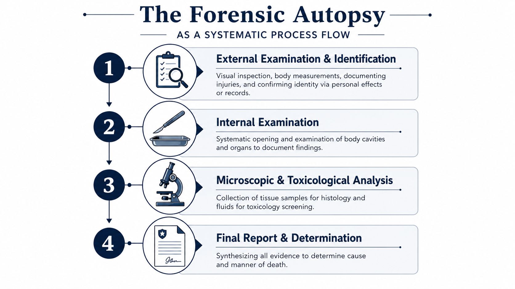A diagram illustrating the four systematic steps of a forensic autopsy process from external examination to reporting.